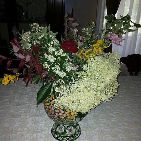 Chiara Affascinante Villino Проживание в семье Монсамполо-дель-Тронто