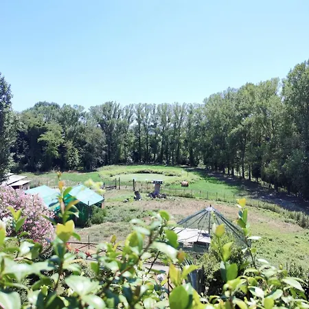 Chiara Affascinante Villino Alloggio in famiglia