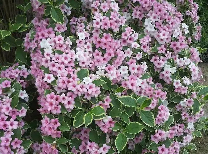 Chiara Affascinante Villino * Monsampolo Del Tronto