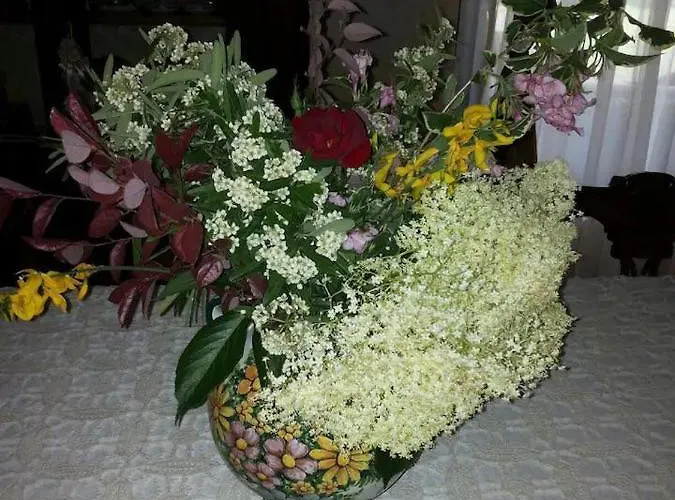 Chiara Affascinante Villino Rum i privatbostad Monsampolo Del Tronto