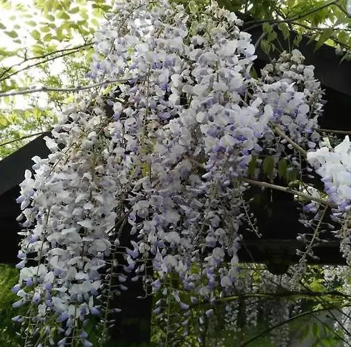 Chiara Affascinante Villino Rum i privatbostad